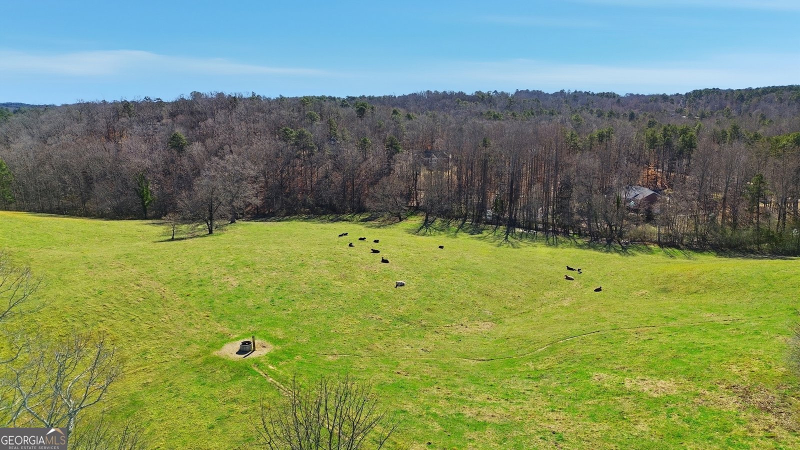 281 Line Road Toccoa - Photo 80