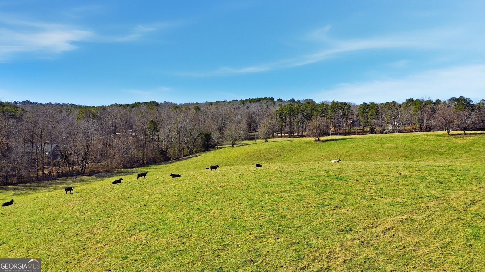 281 Line Road Toccoa - Photo 84