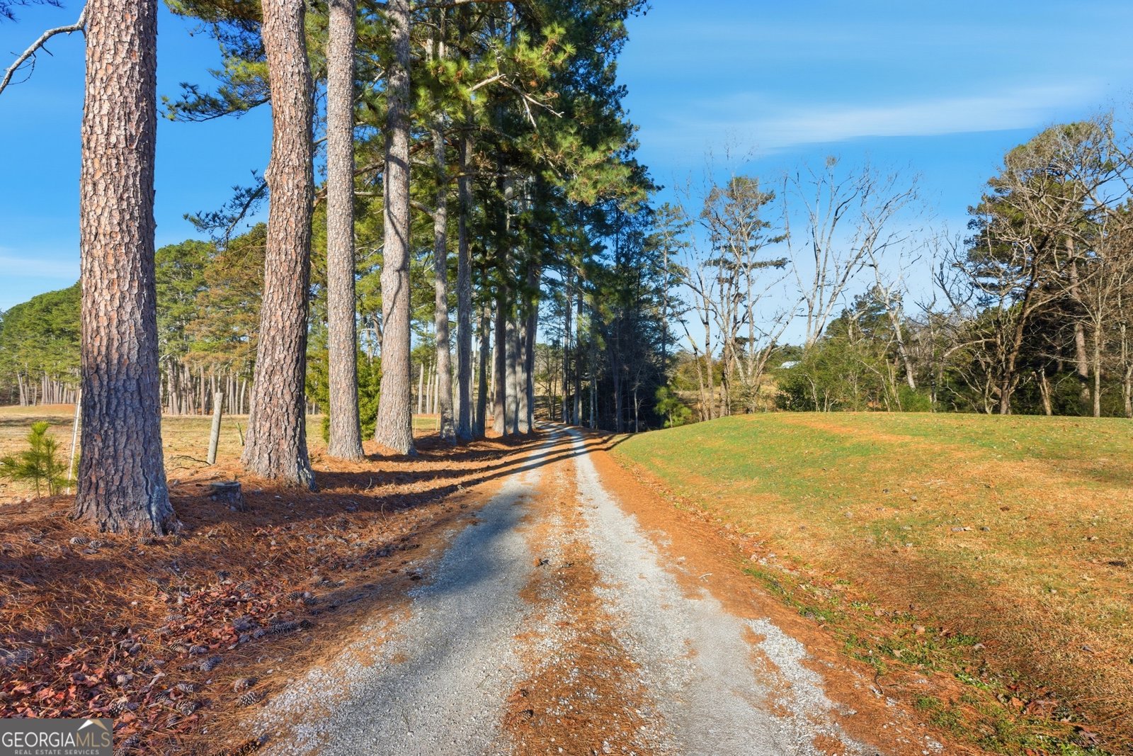 281 Line Road Toccoa - Photo 87