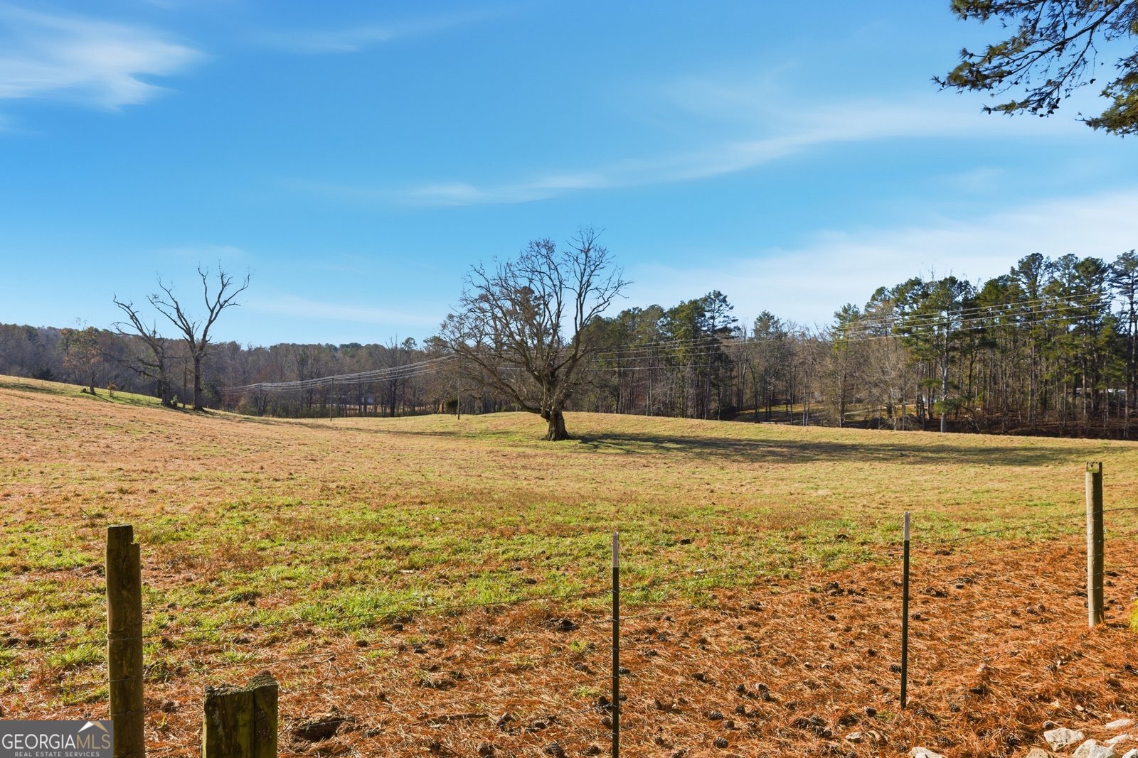 281 Line Road Toccoa - Photo 88