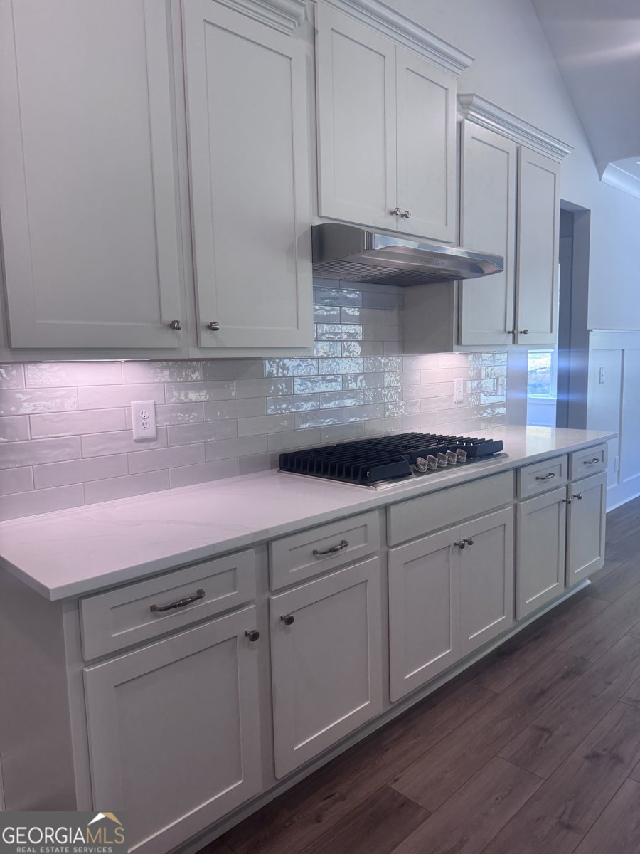 165 West Lake Boulevard Carrollton - Photo 8