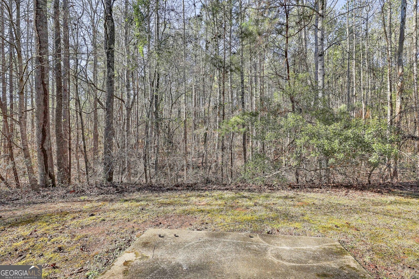 97 Sage Court Newnan - Photo 29