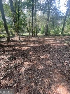 1184 Robert Hardeman Rd Winterville - Photo 8