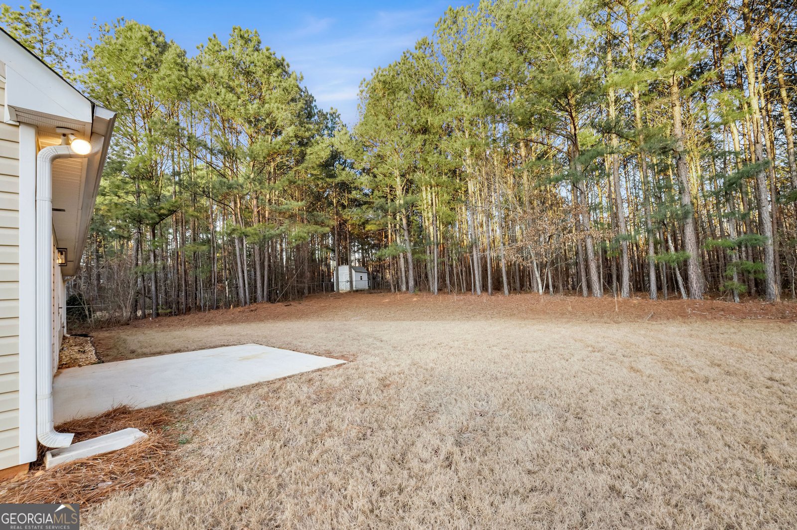 45 Edinburgh Lane Covington - Photo 33