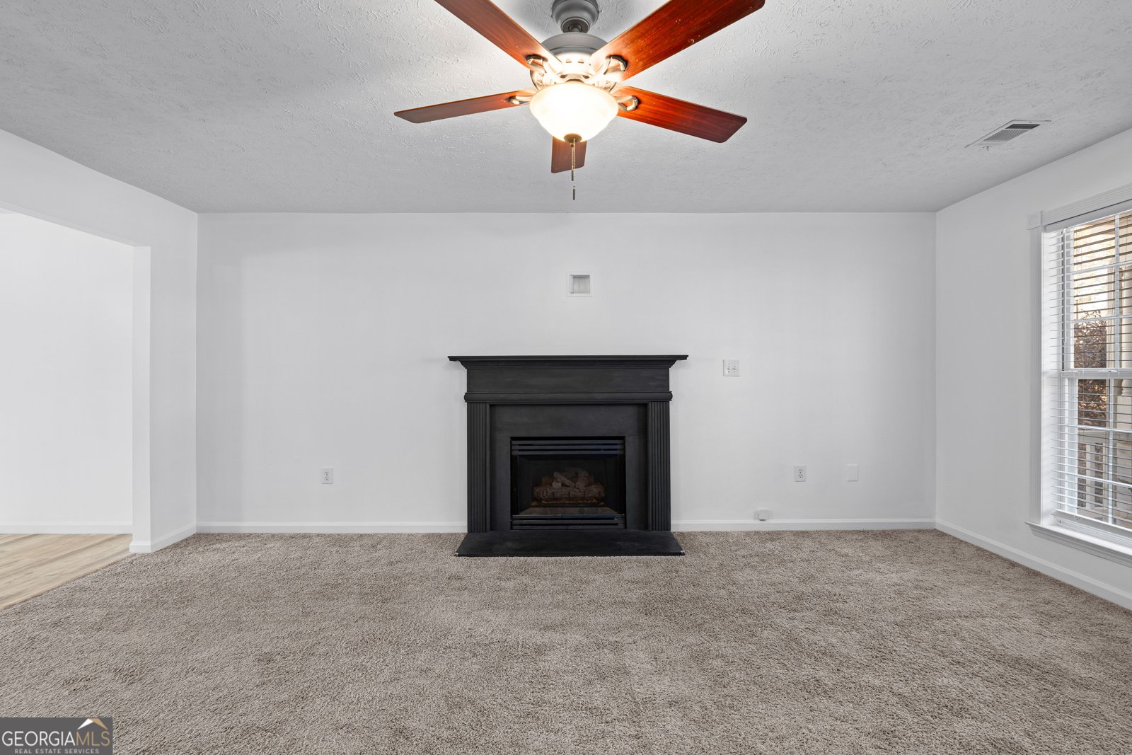 19 Rayner Drive Newnan - Photo 9