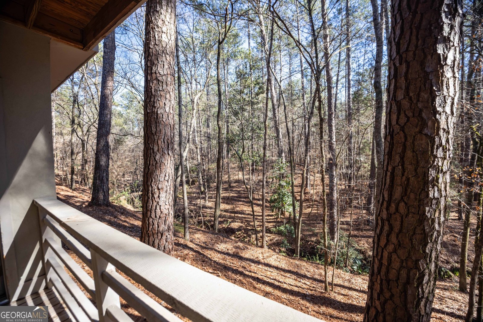 4 Mountain Ridge Court Columbus - Photo 53