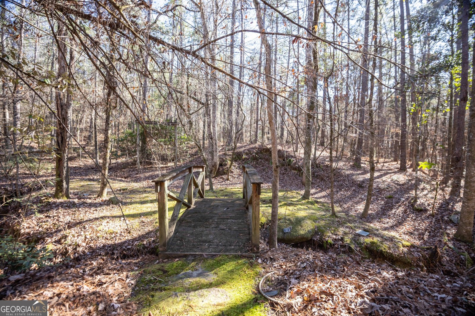 4 Mountain Ridge Court Columbus - Photo 54