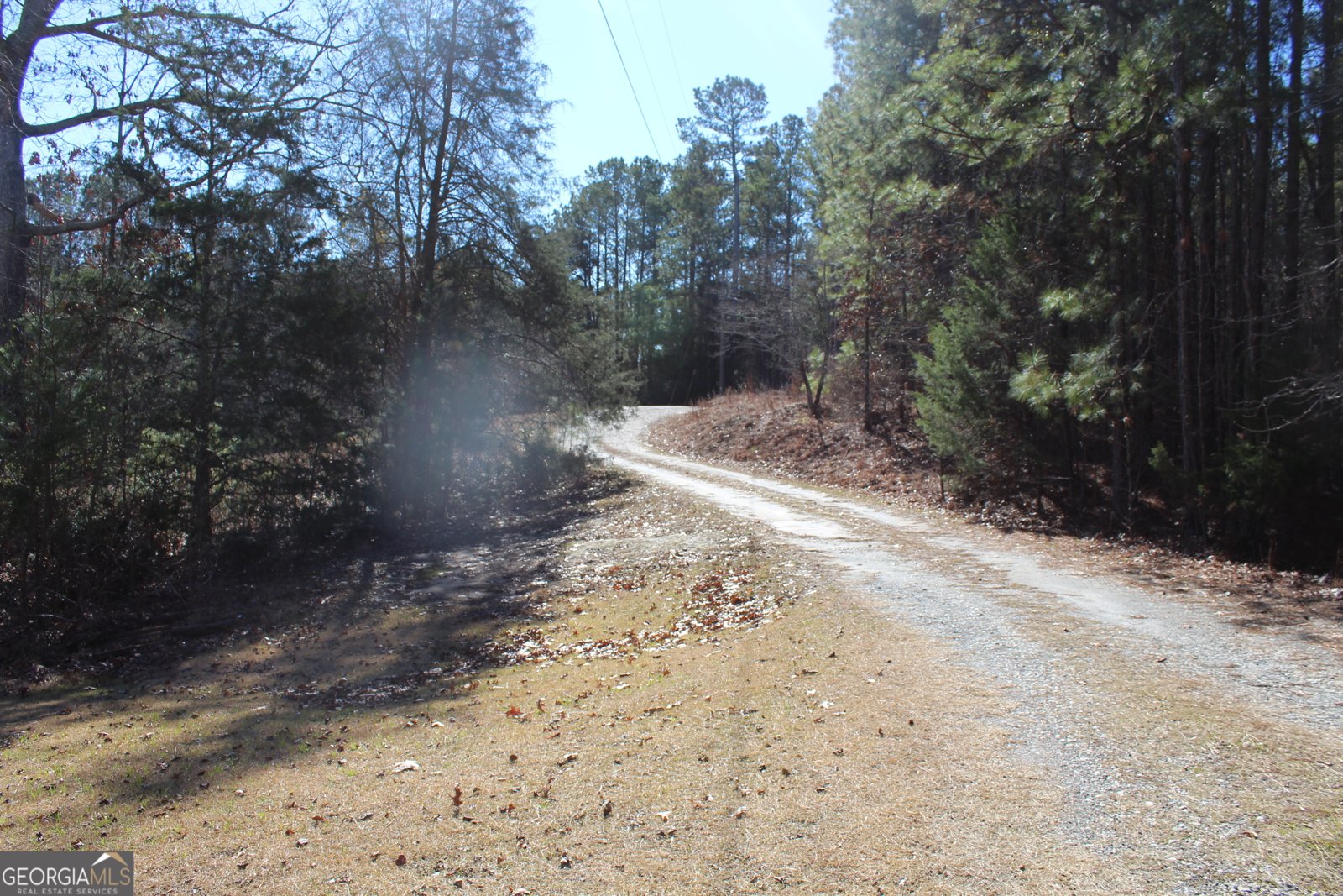 218 Franklin Parkway Franklin - Photo 7