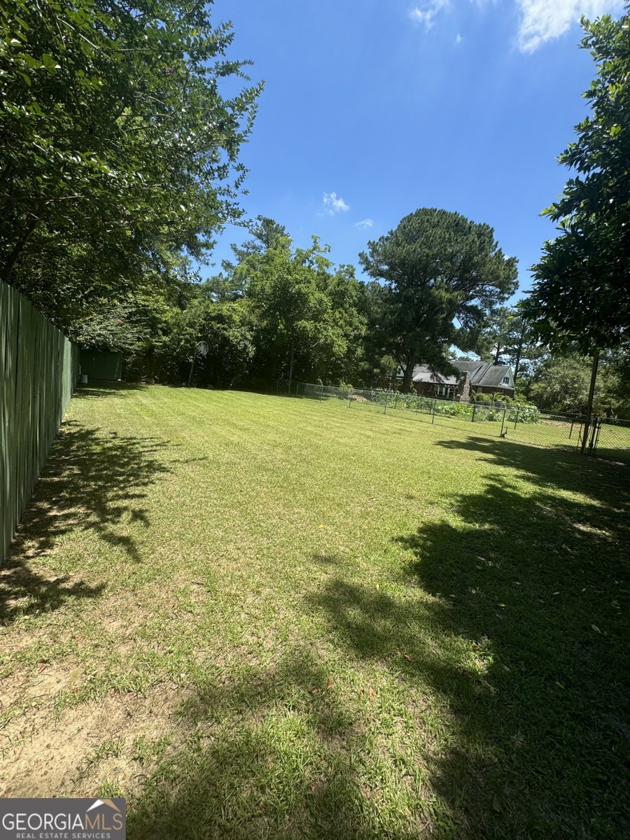 808 Harvey Street Millen - Photo 39