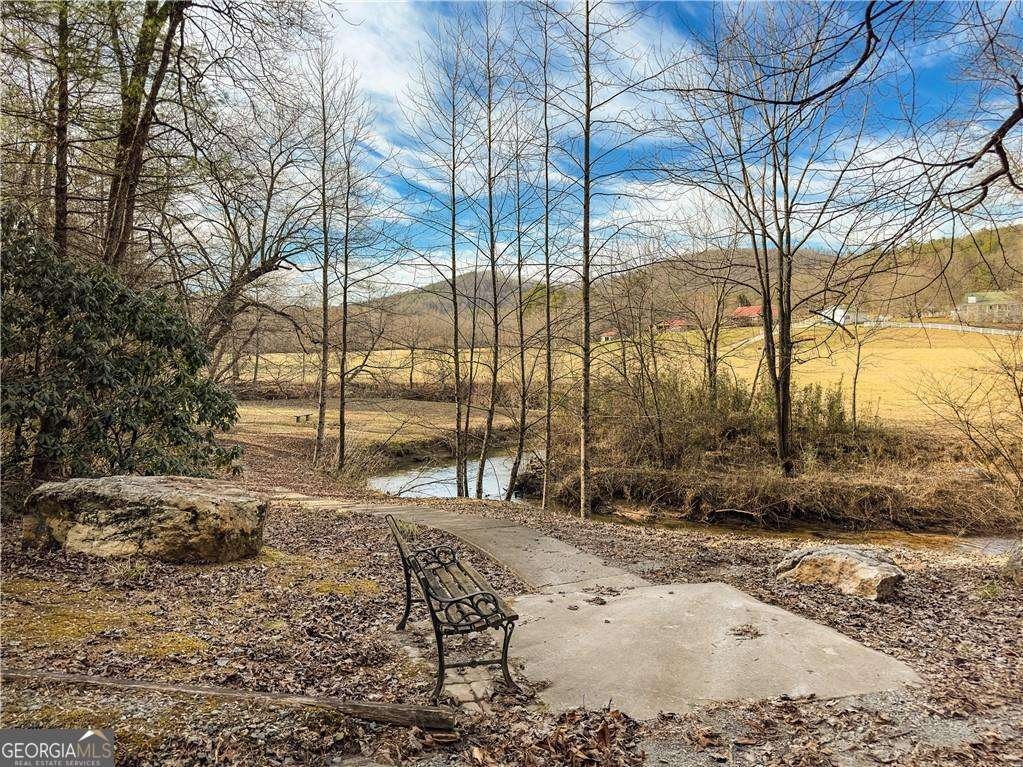 315 Mystic Lane Blue Ridge - Photo 34