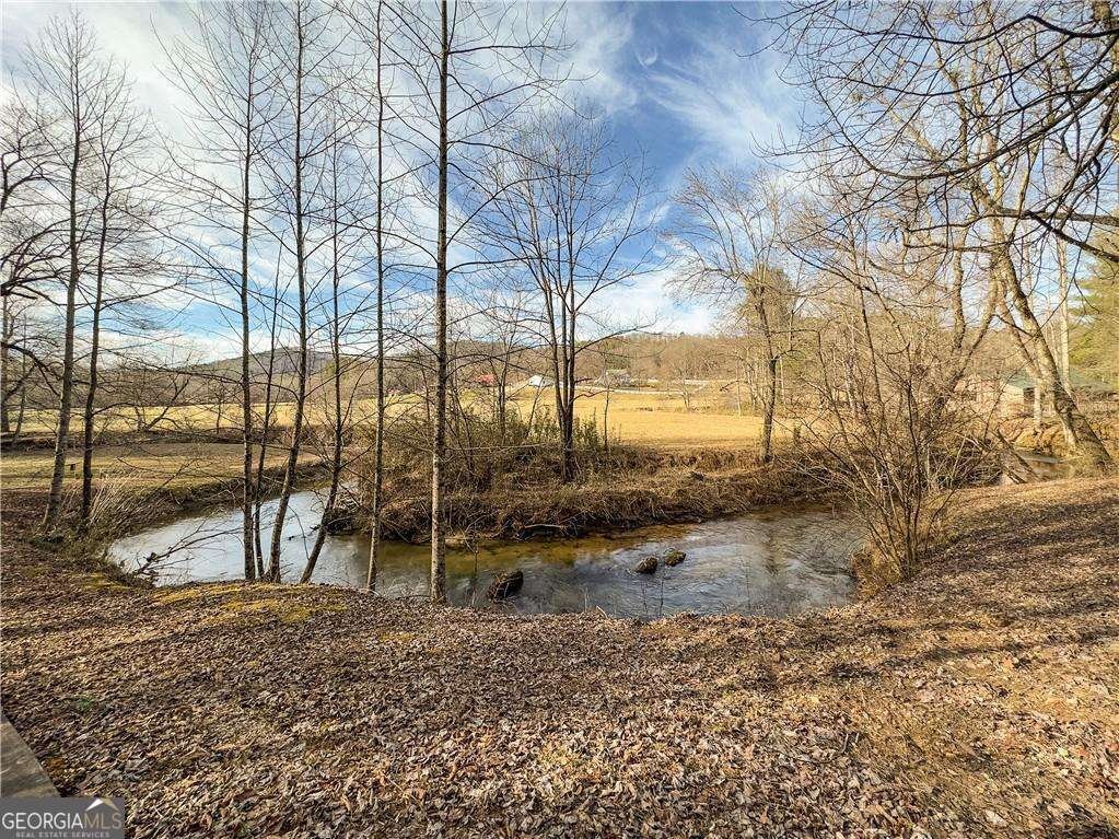 315 Mystic Lane Blue Ridge - Photo 35