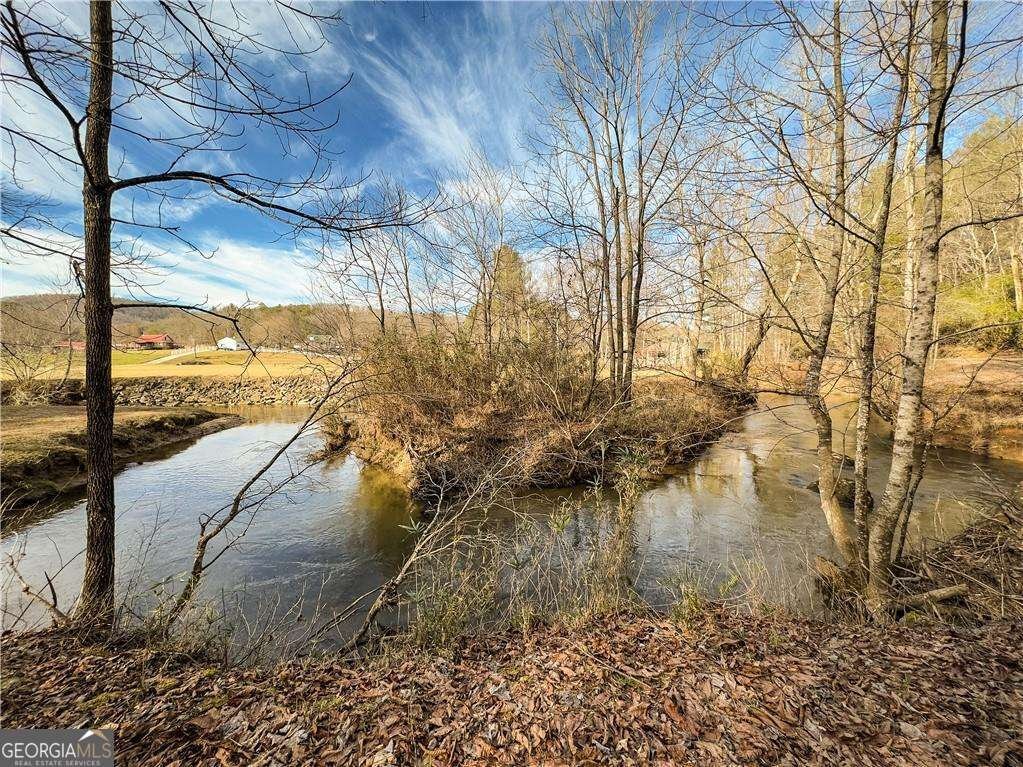 315 Mystic Lane Blue Ridge - Photo 36