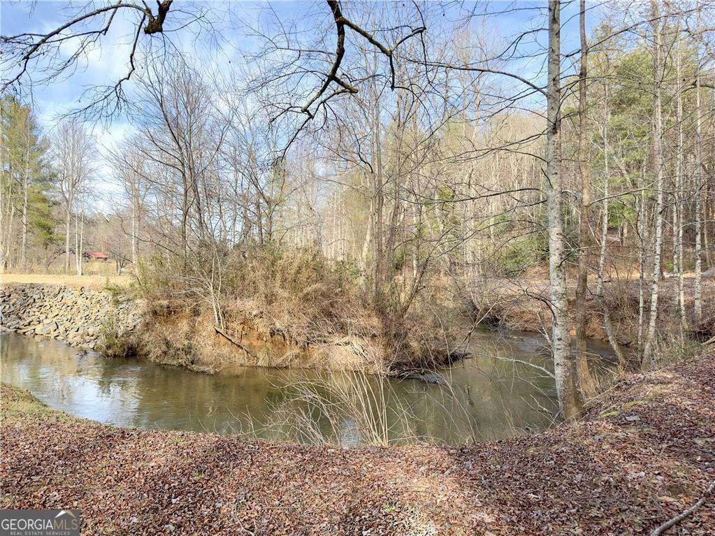 315 Mystic Lane Blue Ridge - Photo 39