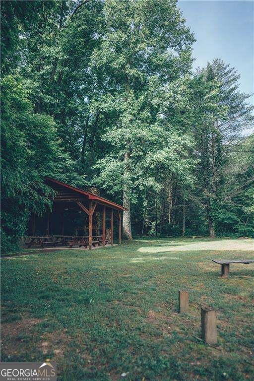 315 Mystic Lane Blue Ridge - Photo 53