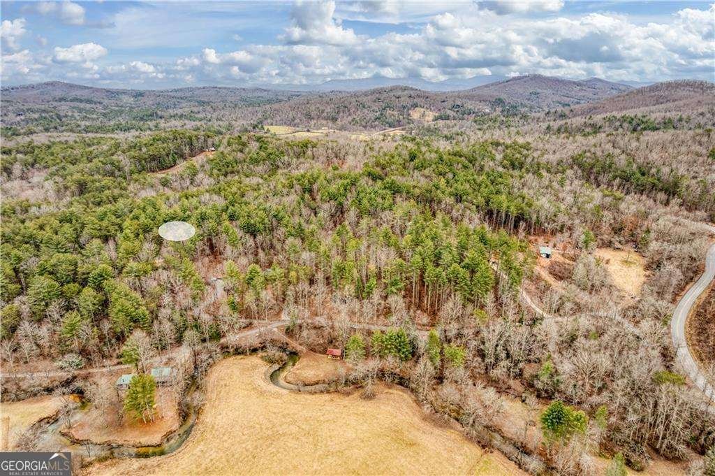 315 Mystic Lane Blue Ridge - Photo 54