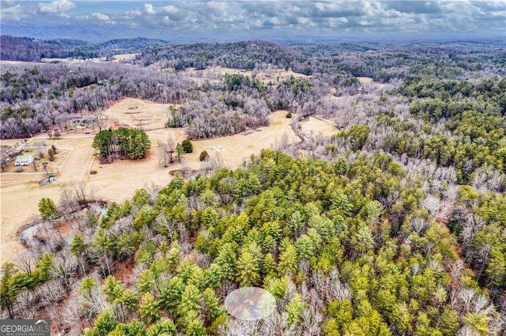 315 Mystic Lane Blue Ridge - Photo 56