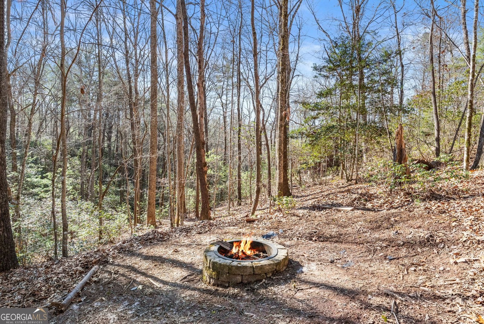 17 Deer Track Road Sautee Nacoochee - Photo 42