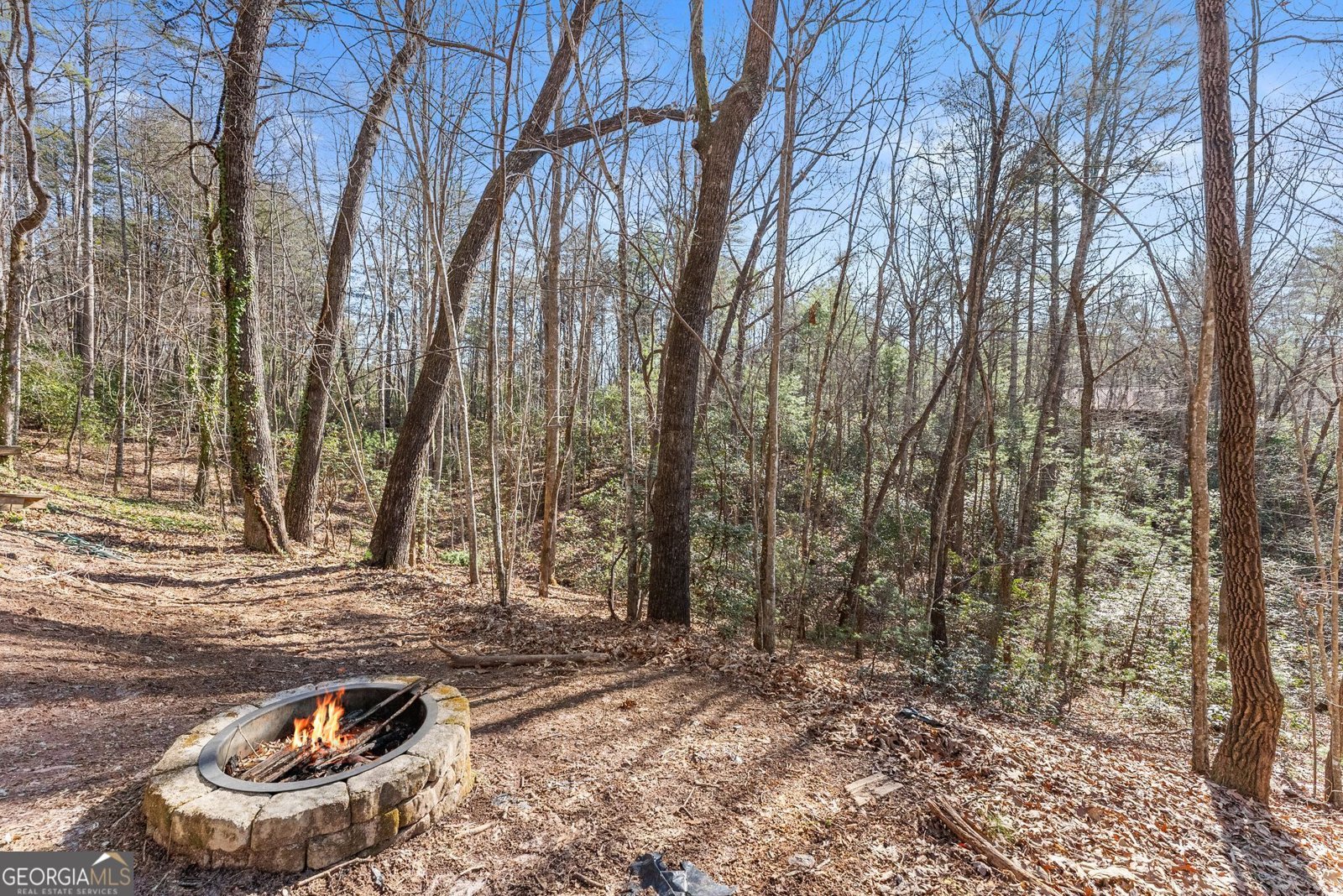 17 Deer Track Road Sautee Nacoochee - Photo 44