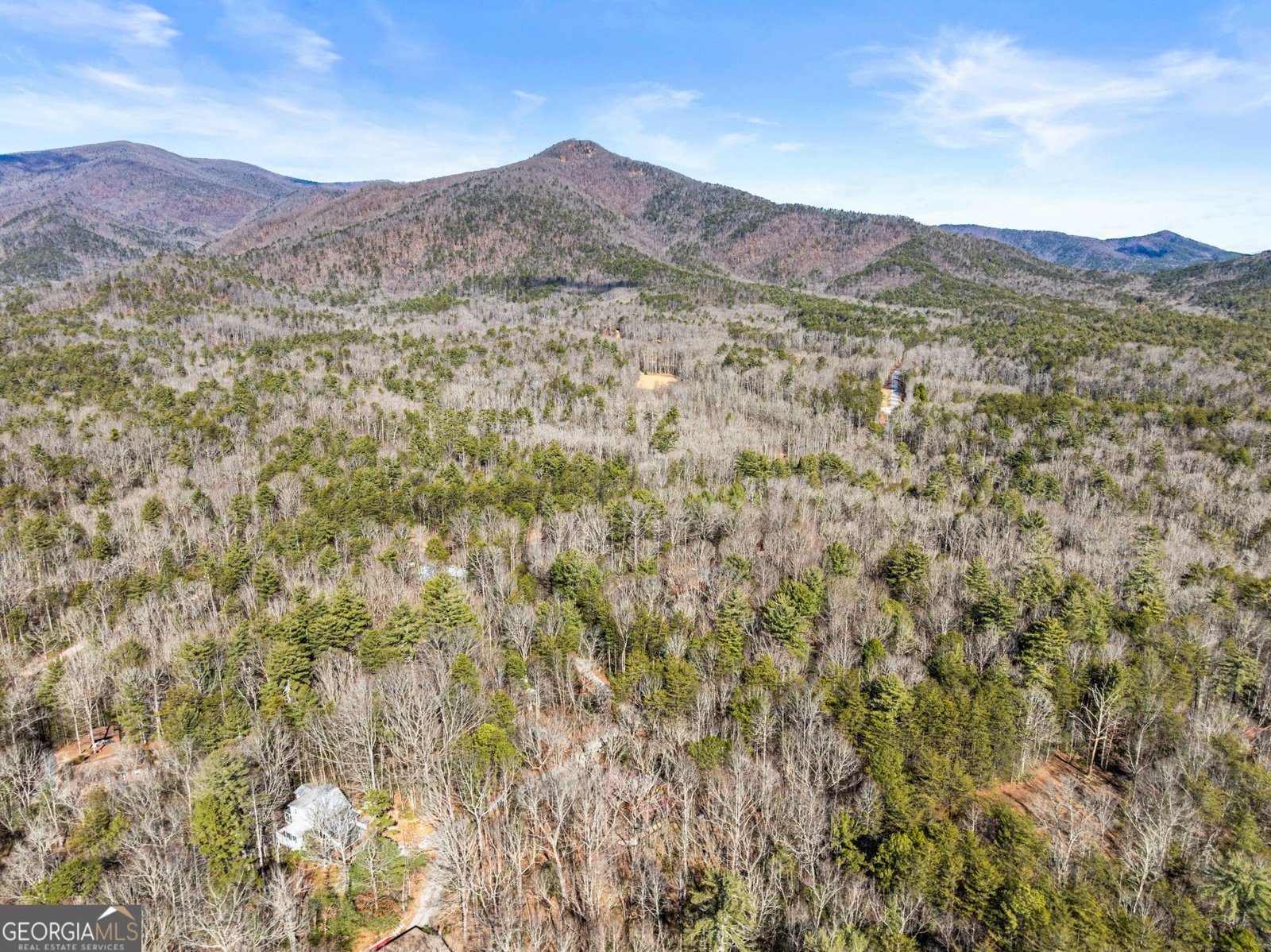 17 Deer Track Road Sautee Nacoochee - Photo 50