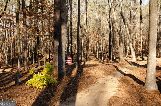 150 Highlands Forest Lane Oxford - Photo 60