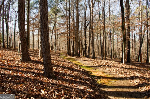 150 Highlands Forest Lane Oxford - Photo 61