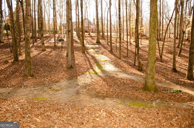 150 Highlands Forest Lane Oxford - Photo 63