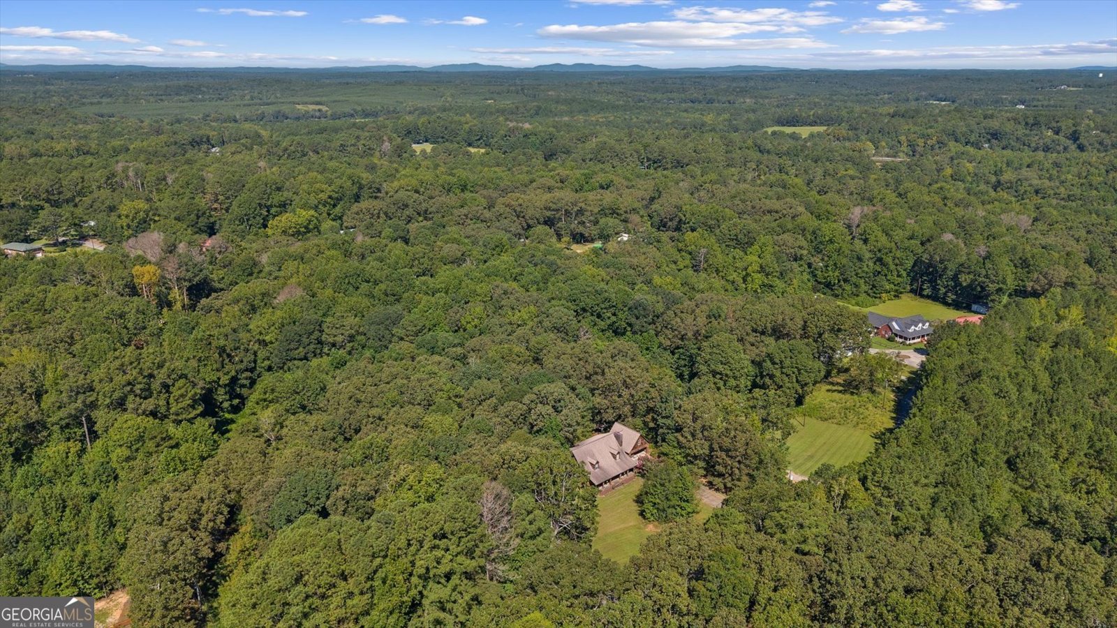 324 Bethany Street Tallapoosa - Photo 57