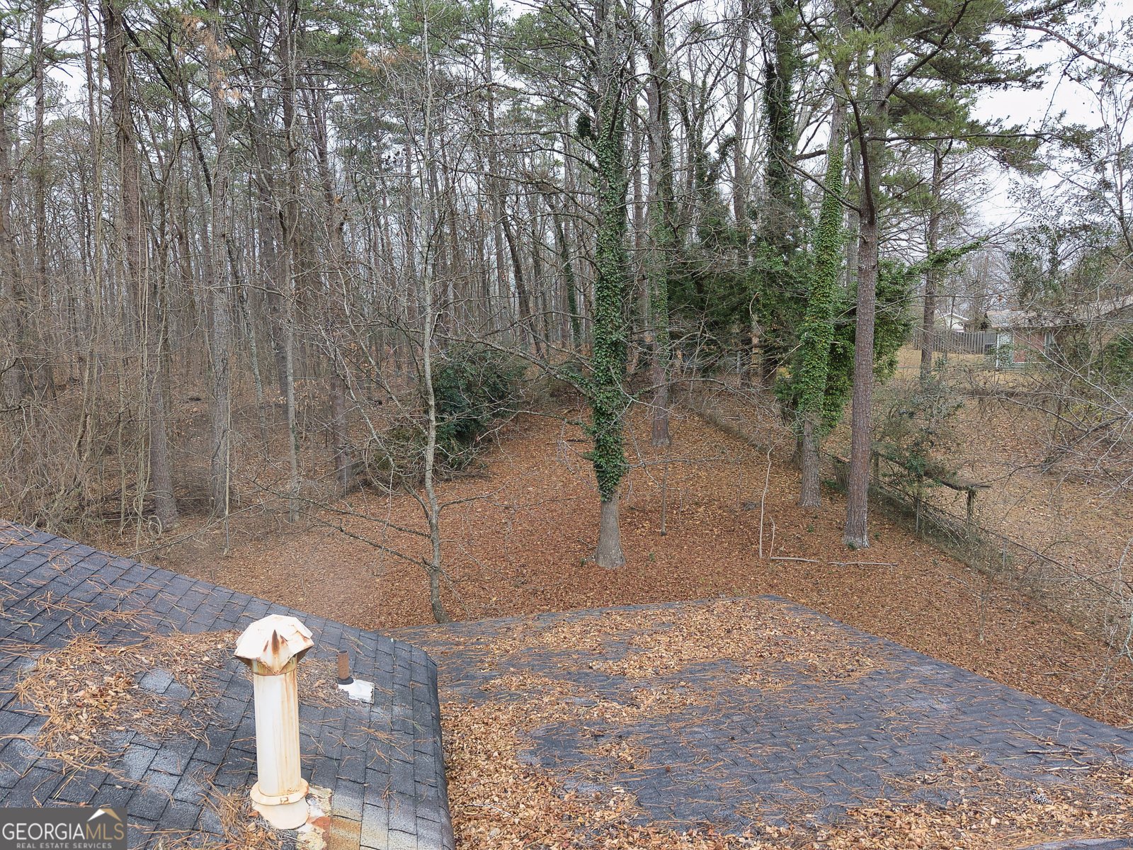 6100 Mincey Road Stone Mountain - Photo 34