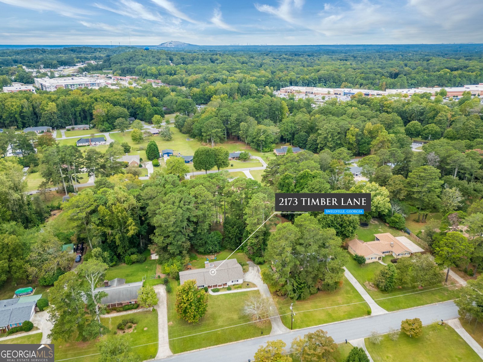 2173 Timber Lane Snellville - Photo 1