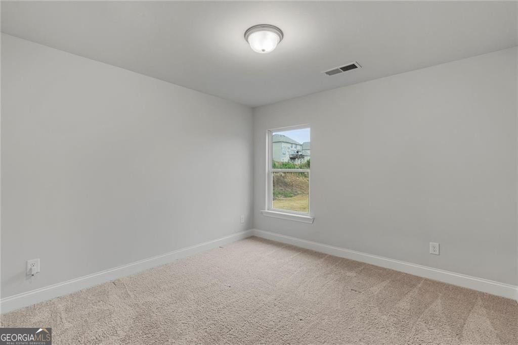 3455 Spring Place Court Loganville - Photo 28