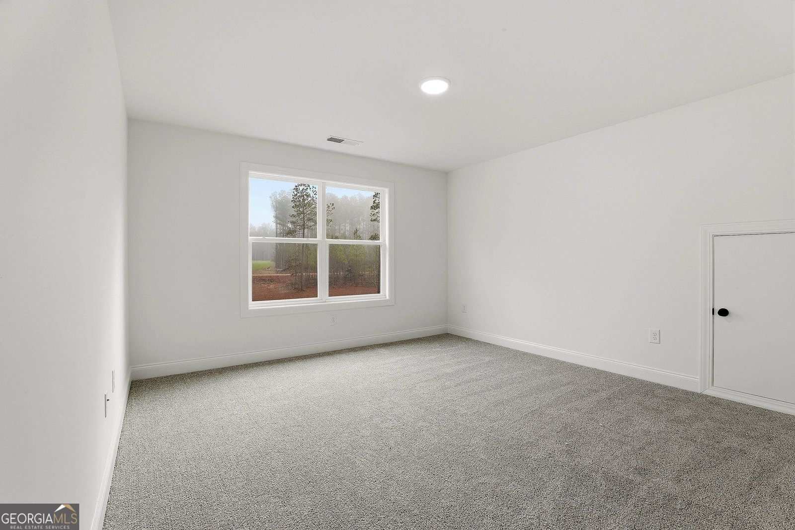204 Tattersall Way Senoia - Photo 78