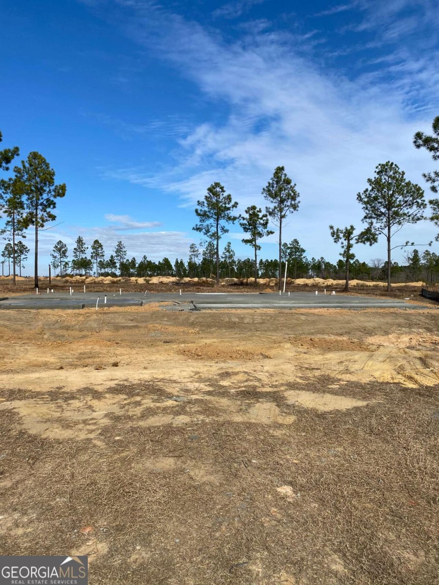 223 Manchester Drive Statesboro - Photo 1