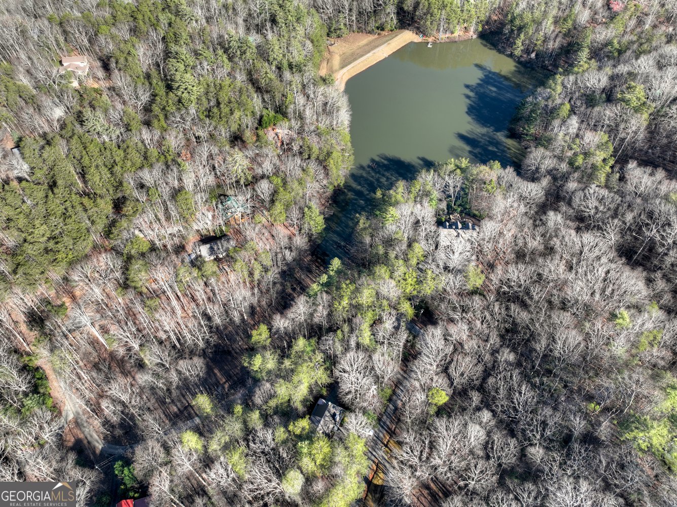215 Valley View Road Ellijay - Photo 38