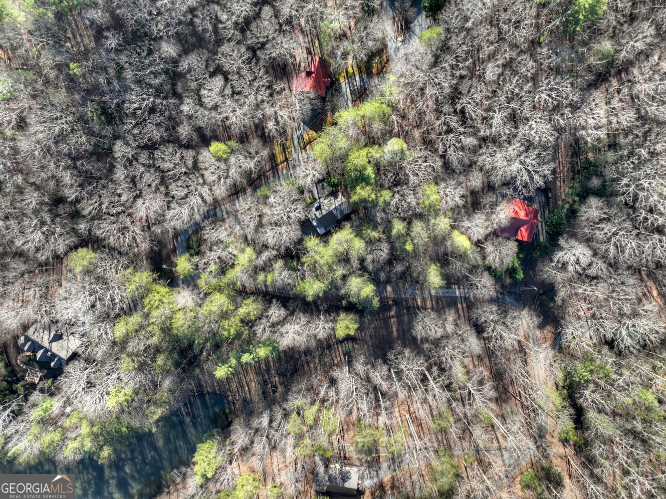 215 Valley View Road Ellijay - Photo 39