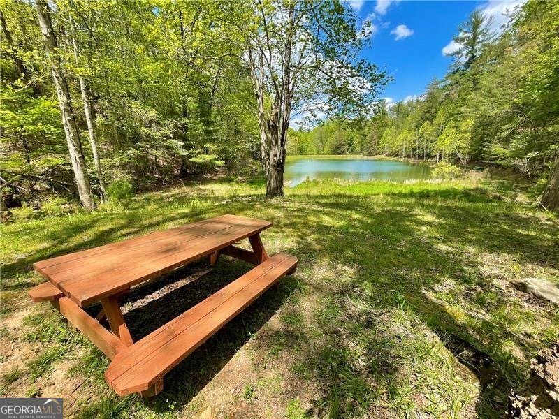 215 Valley View Road Ellijay - Photo 43