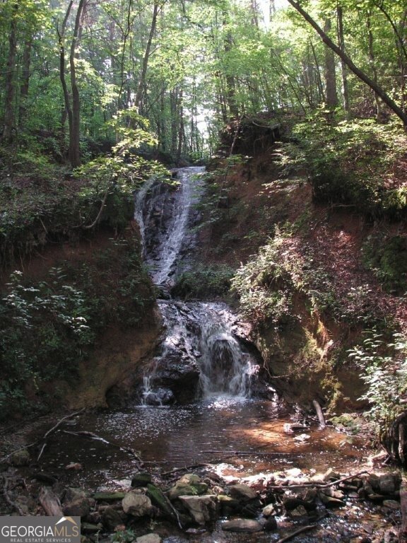 215 Valley View Road Ellijay - Photo 44