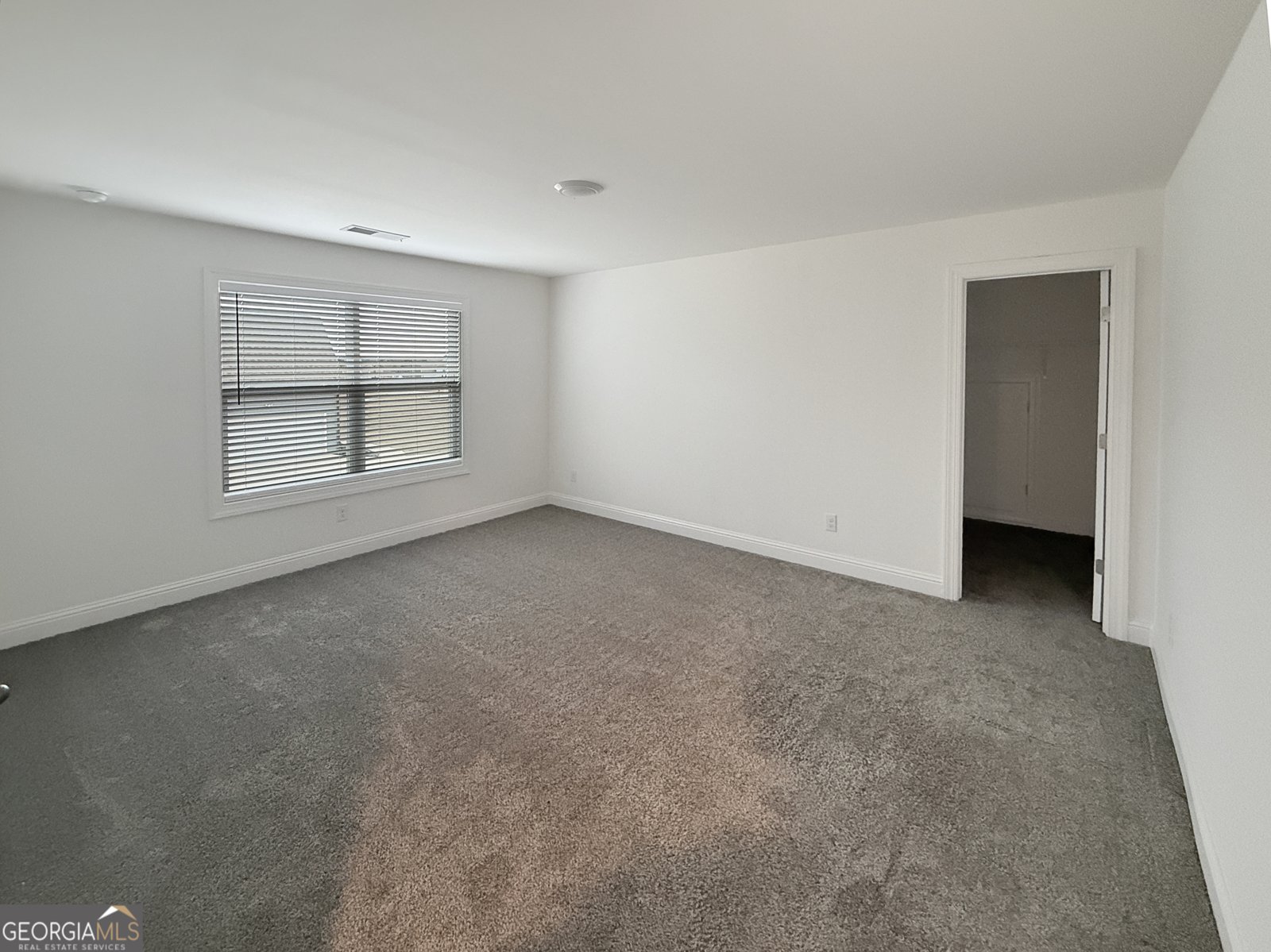 40 Riverstone Drive Senoia - Photo 34