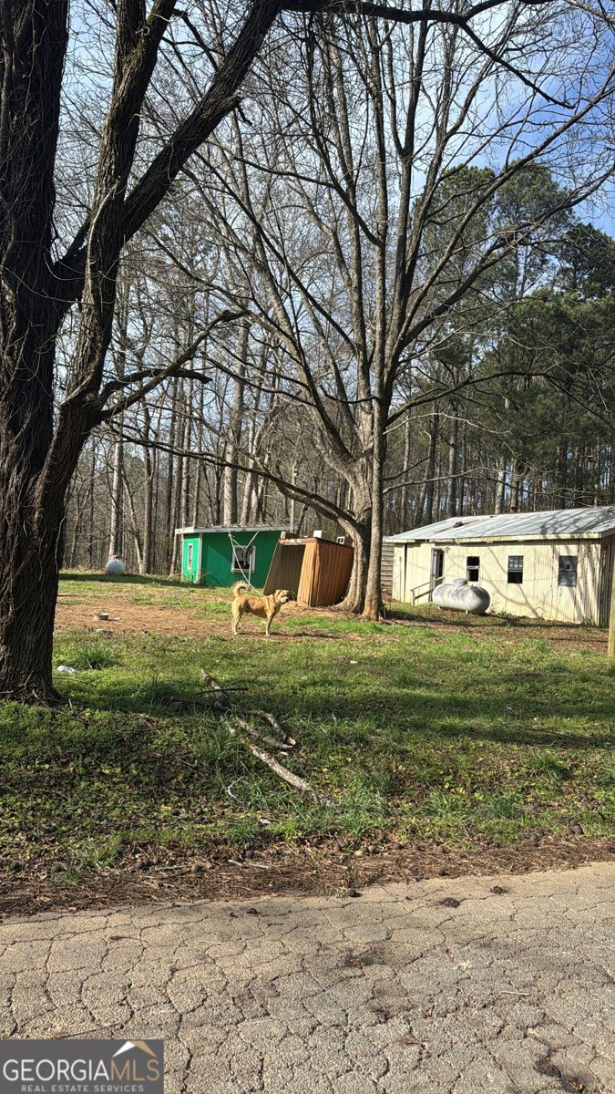 508 Mckibben Road Buchanan - Photo 6