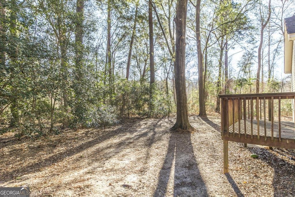 411 Cypress Drive Dublin - Photo 31