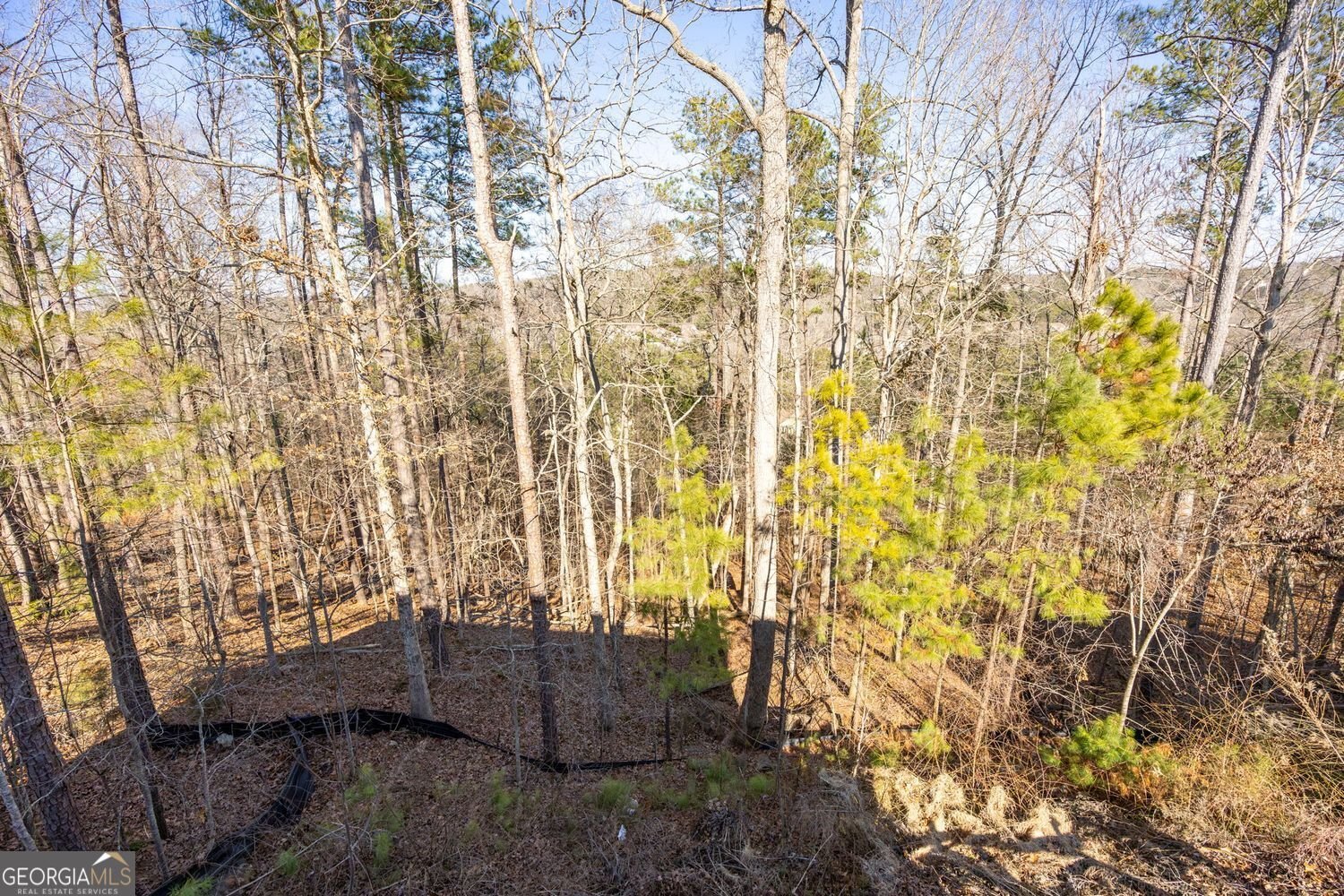 918 Pine Way Dallas - Photo 30