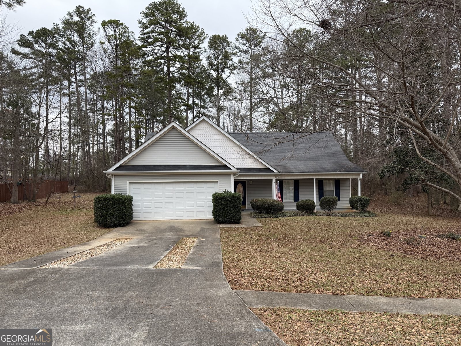 285 Willow Dell Drive Senoia - Photo 1