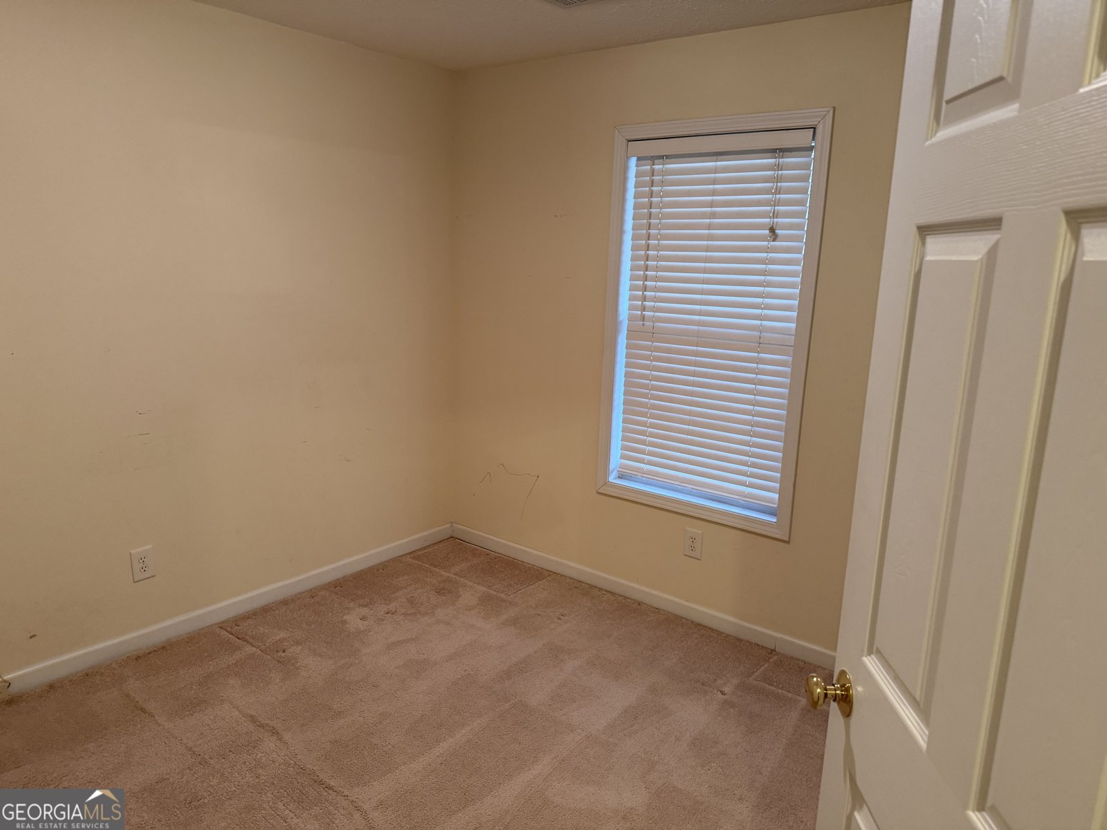 285 Willow Dell Drive Senoia - Photo 9