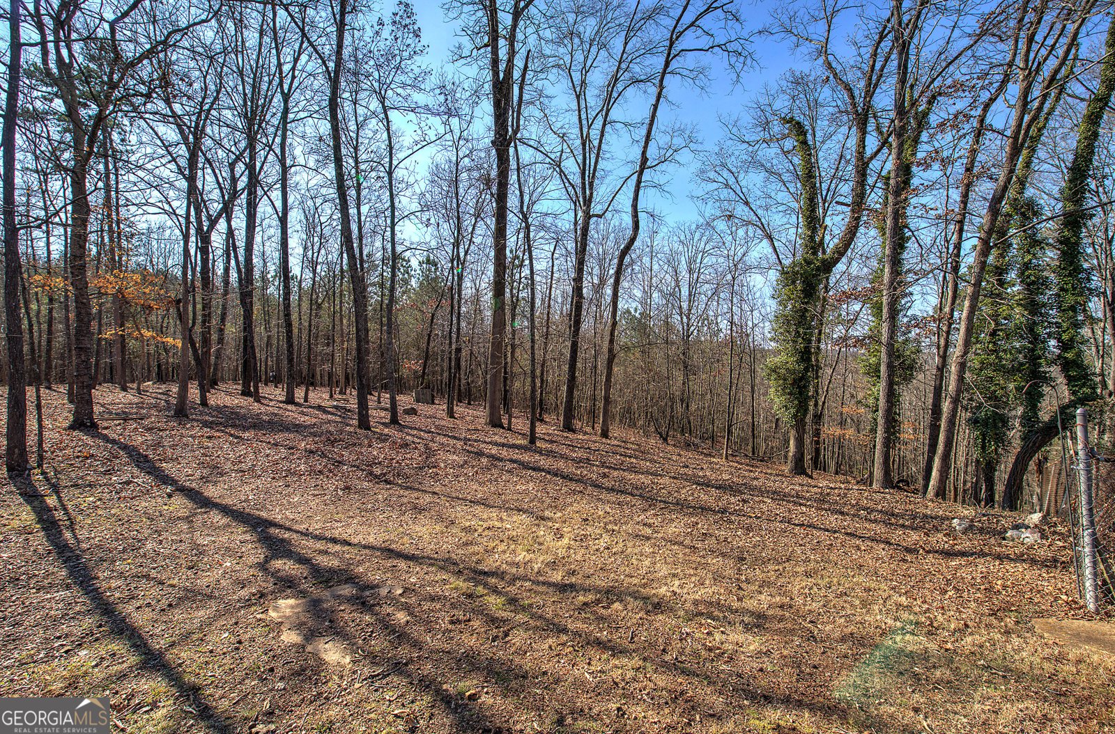 16 Summit Drive Lindale - Photo 46