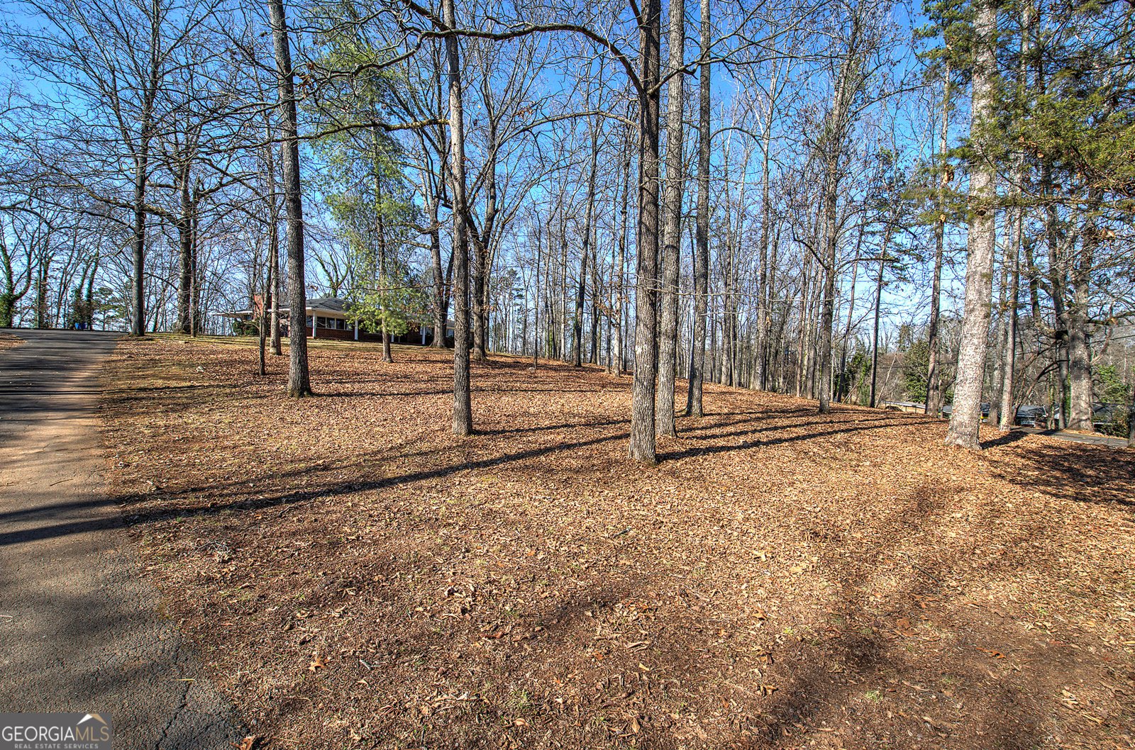 16 Summit Drive Lindale - Photo 57
