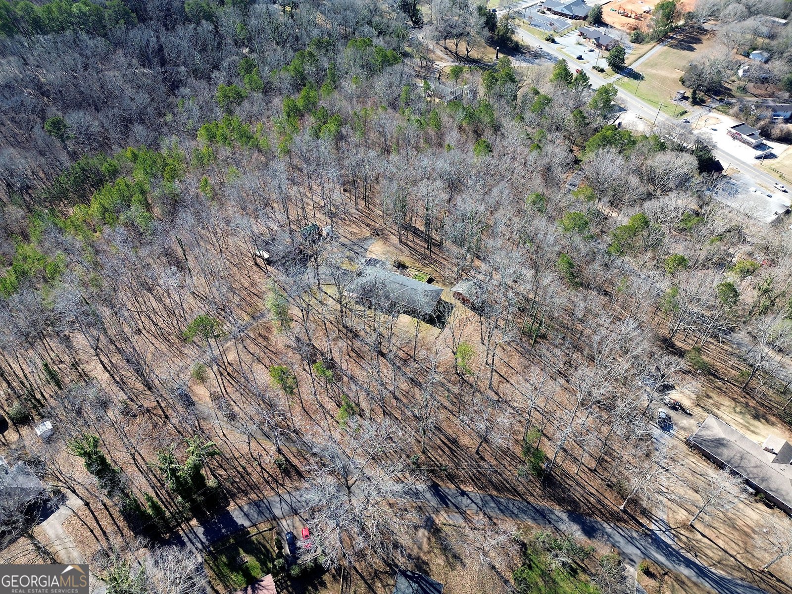 16 Summit Drive Lindale - Photo 83