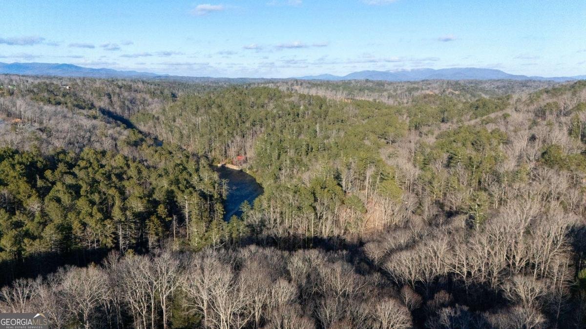 100 Oboe Court Ellijay - Photo 48