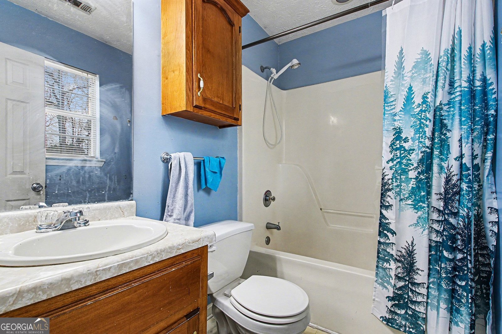 297 Park Place Auburn - Photo 13