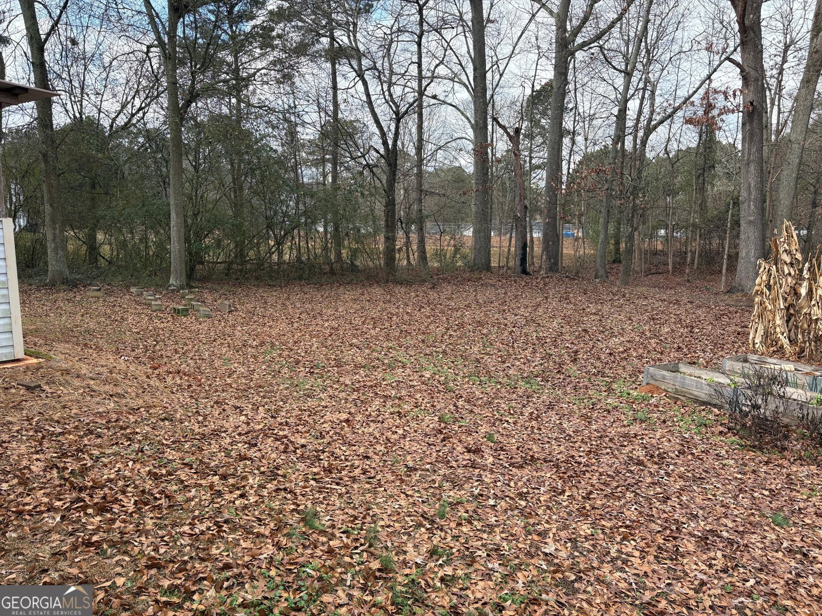 297 Park Place Auburn - Photo 26