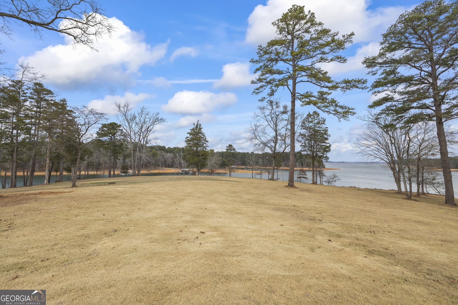 300 Black Point Drive Hartwell - Photo 114