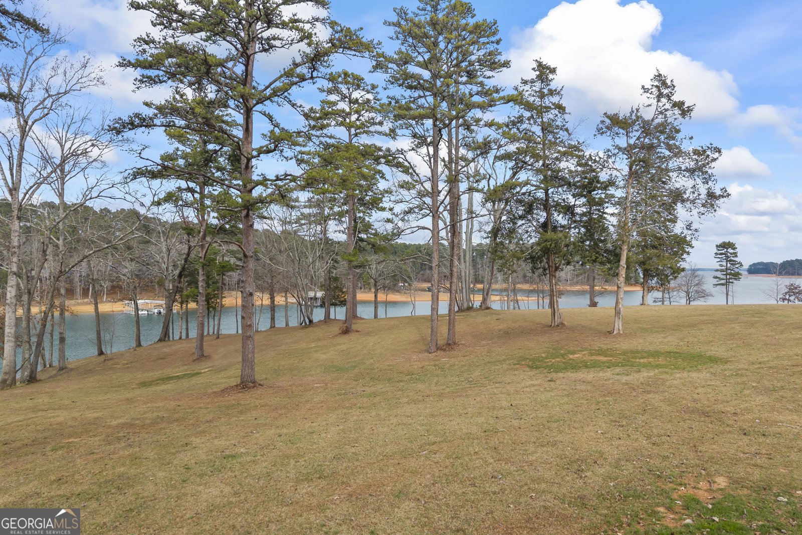 300 Black Point Drive Hartwell - Photo 139